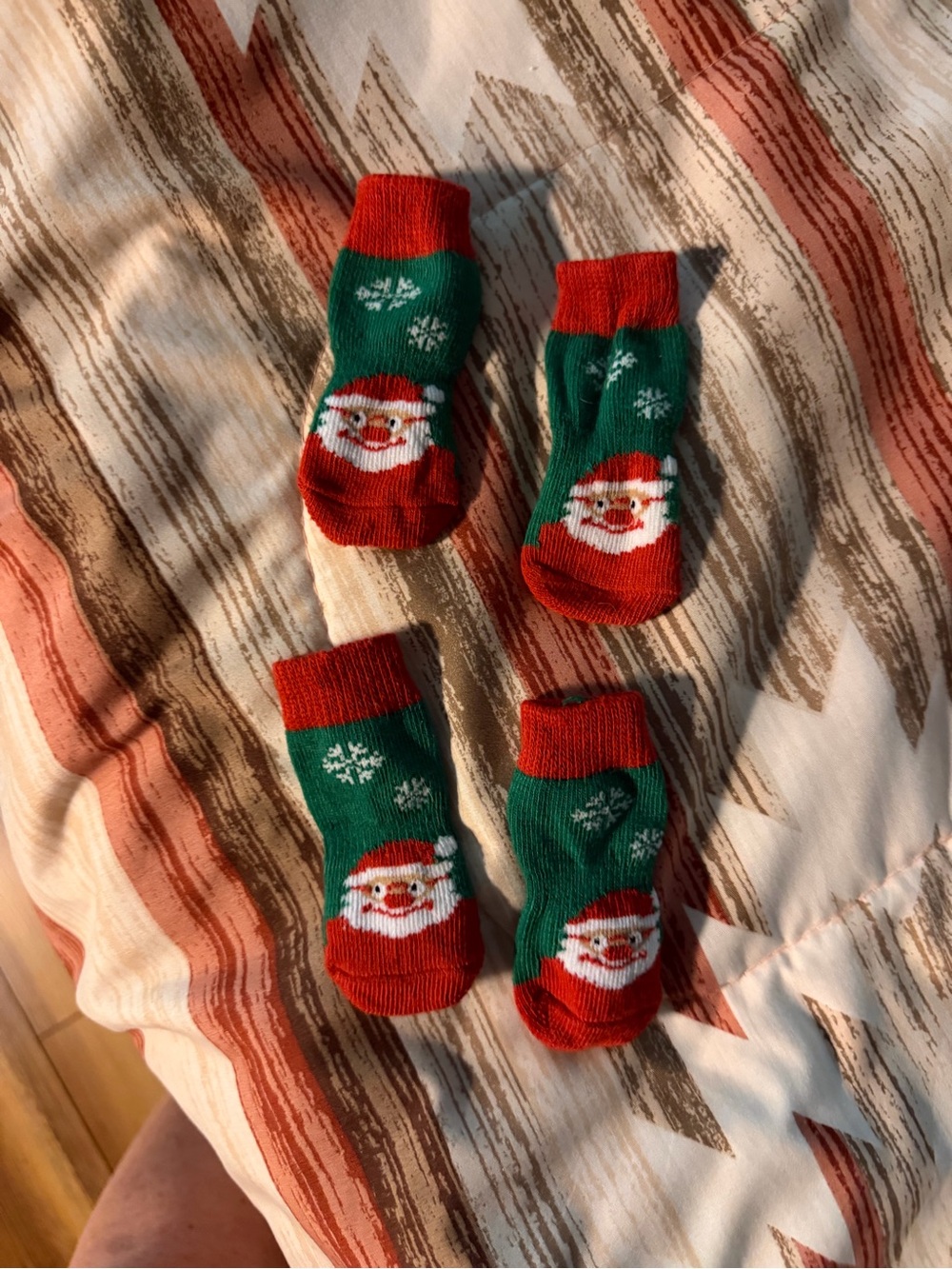 Size medium dog socks